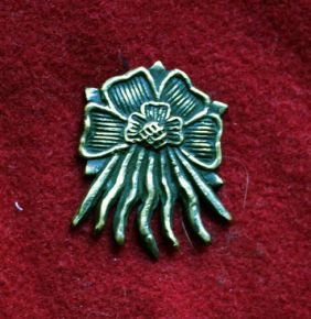 m87 Бэдж "Роза и Солнце"