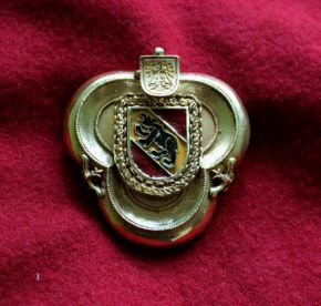 Плащевая Застежка Брошь EA40 ― Asgard UA