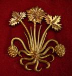 M48  Геральдический бэдж "Земляника"