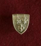 Поясная накладка EN51-1